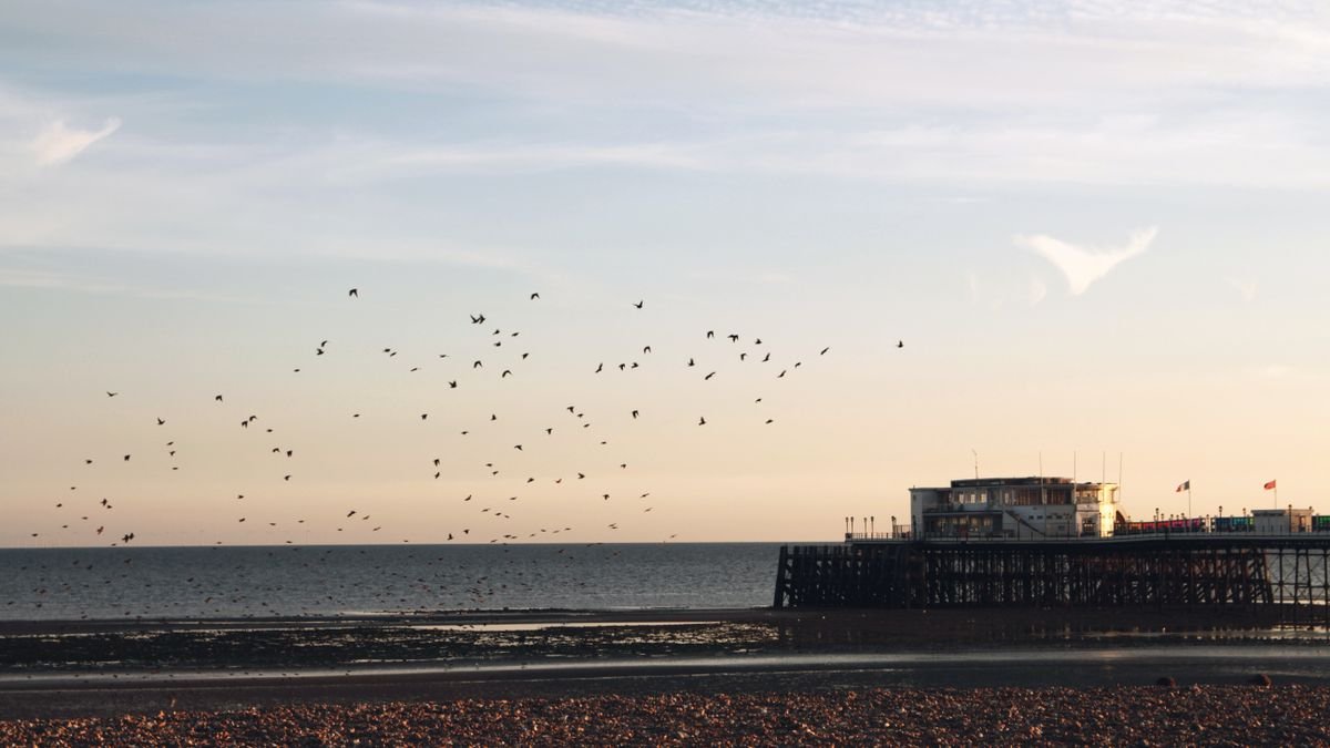 Flock of birds flying over the sea with a pier in the background during a beautiful sunset in the UK.