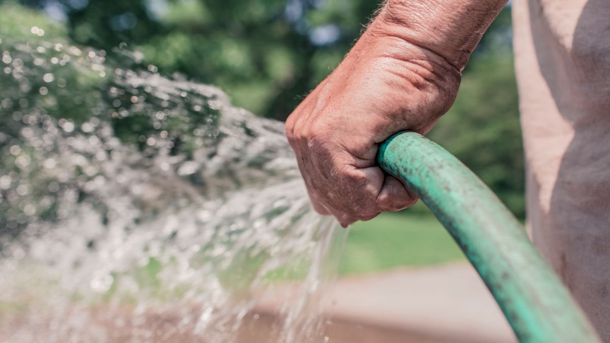 A close-up of a hand holding a hose, watering a garden outdoors during the day.